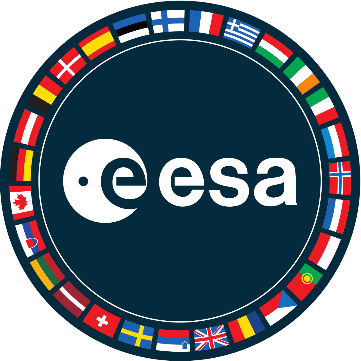 ESA – Real Estate and Facilities Management Development Lead
