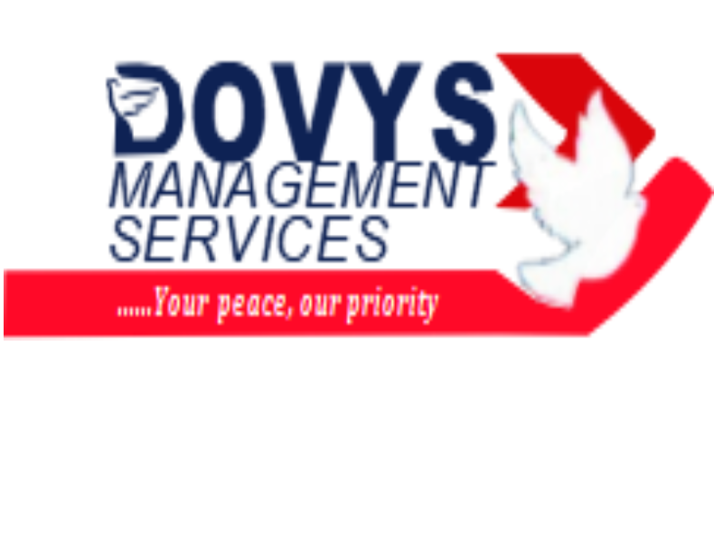 Sales Executives – Real Estate at Dovys Management Services