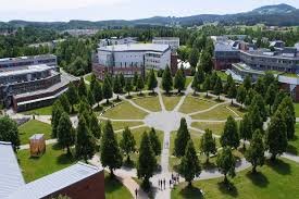  University of Bayreuth’s Starter Grant Programme 2026